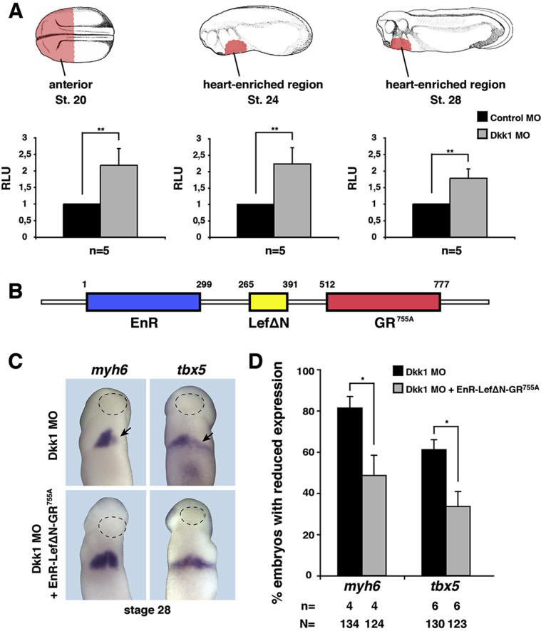 Fig. 7