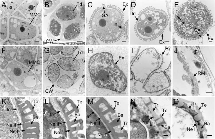 Fig 4