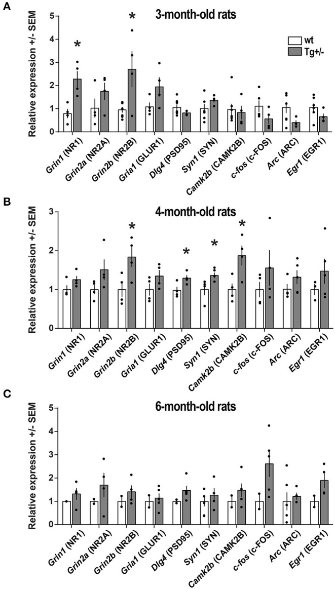 Figure 6