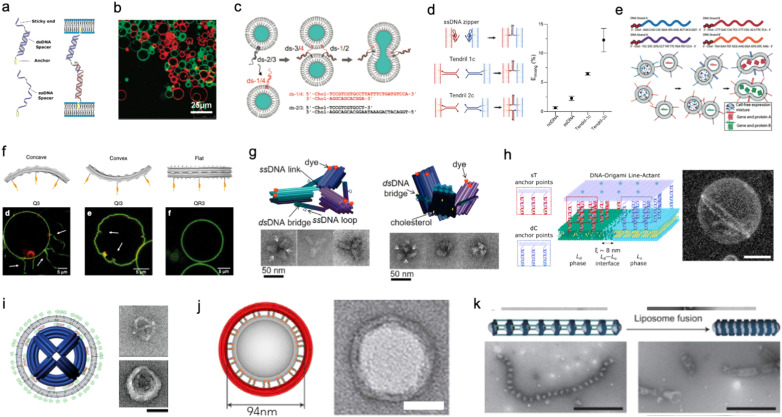 Fig. 10