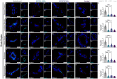 Fig 8