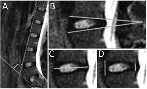 Figure 2: