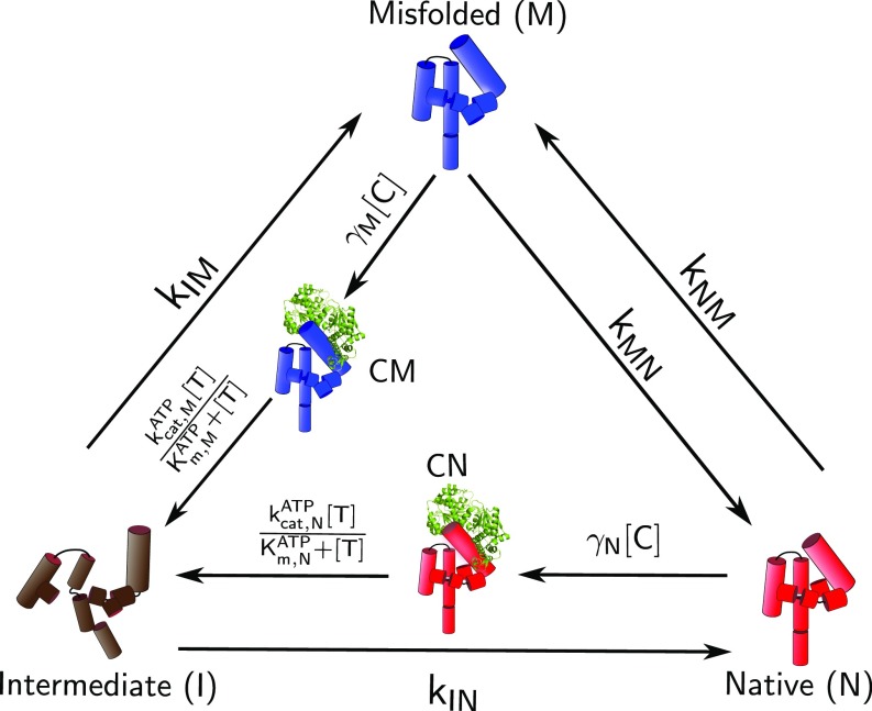 Fig. 2.