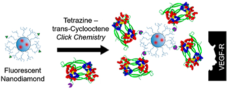 graphic file with name nihms-1635389-f0001.jpg