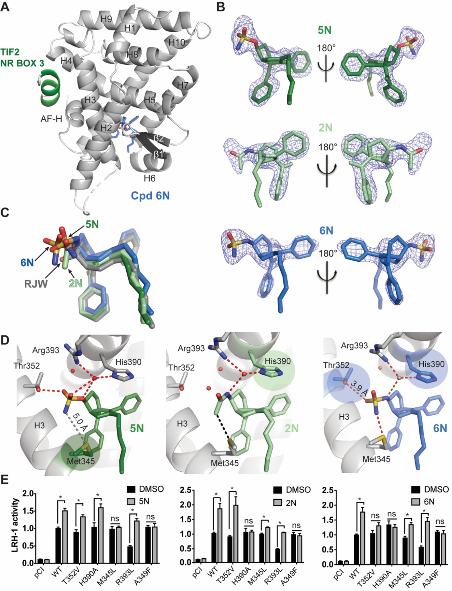 Figure 5.