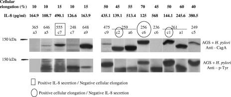 FIG. 4.