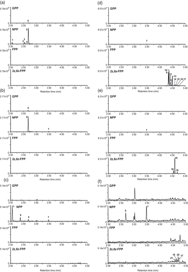 Figure 6