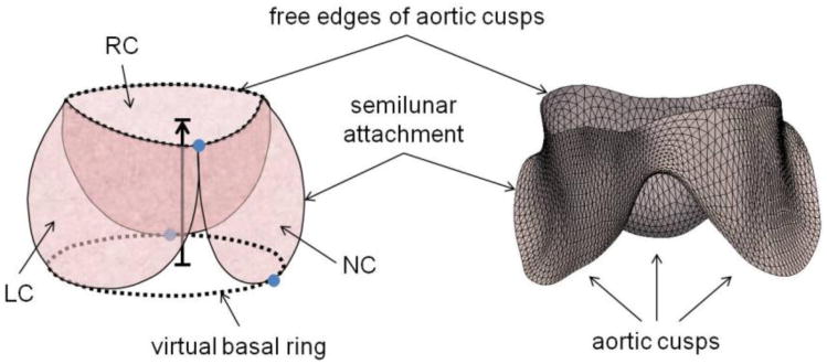 Fig. 1