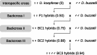 F<sc>ig</sc>. 1.—