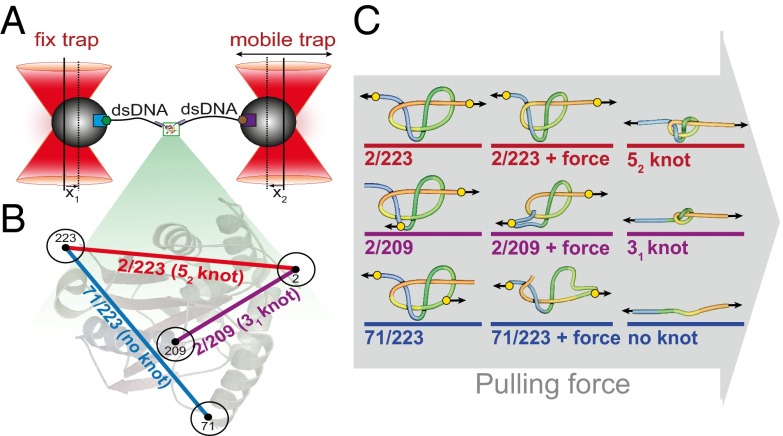 Fig. 1.