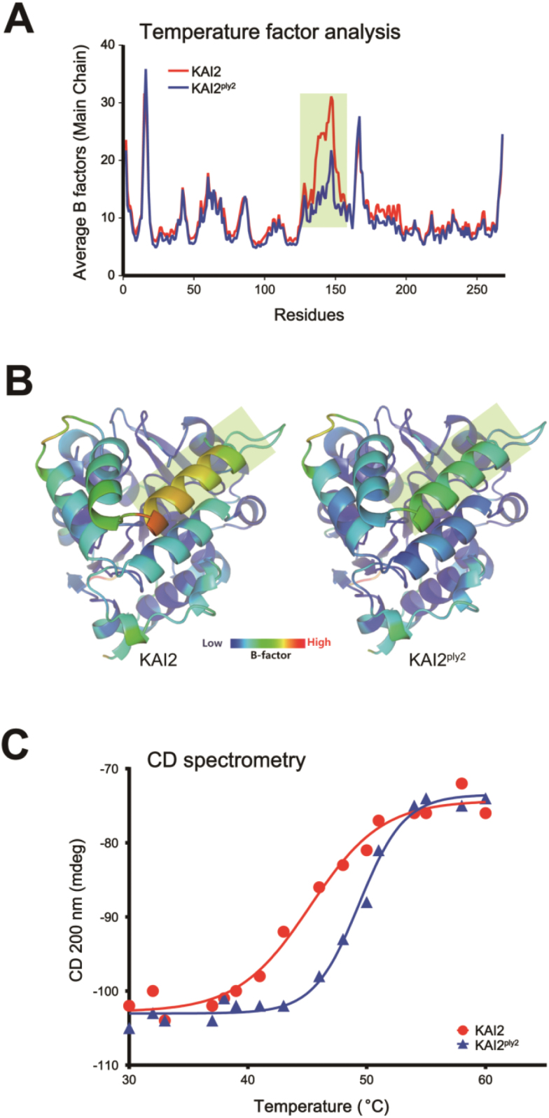 Fig. 9.