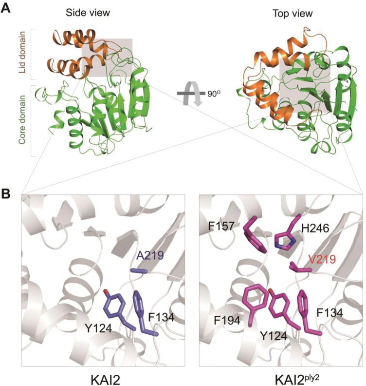 Fig. 6.