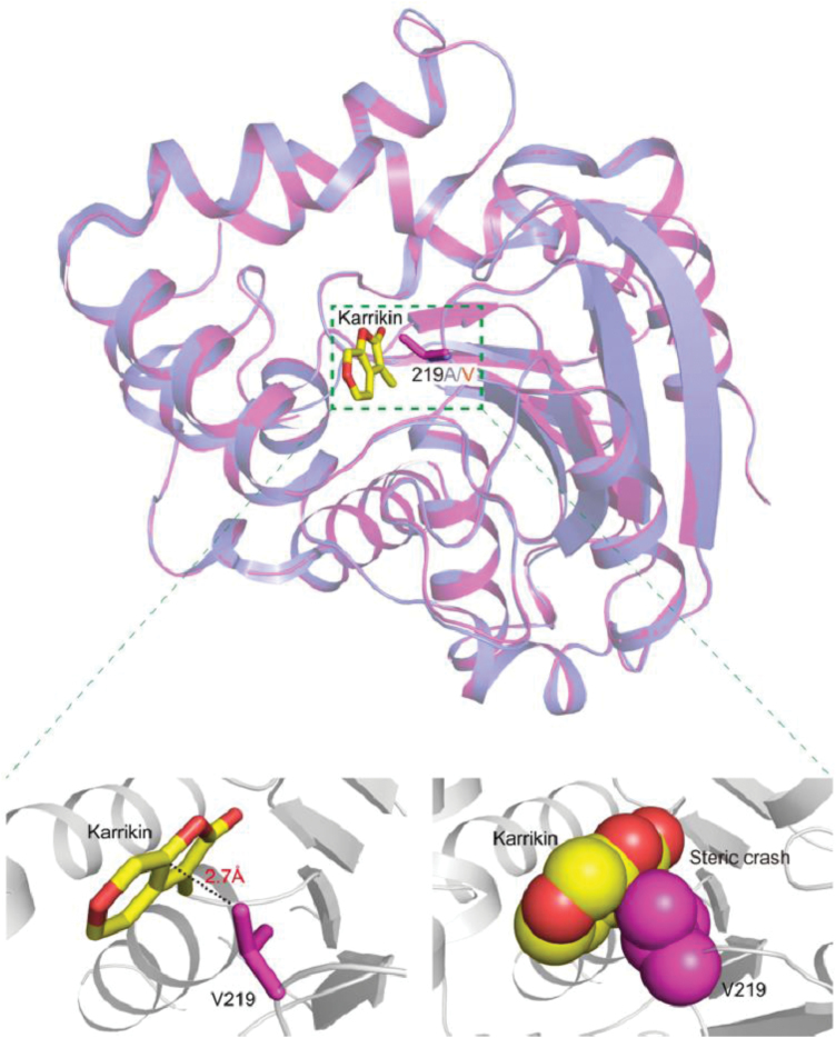 Fig. 8.