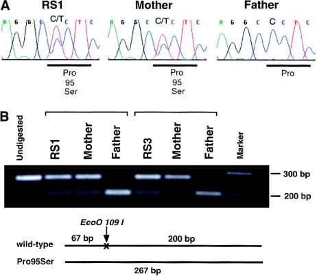 Figure  2