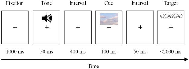 FIGURE 1