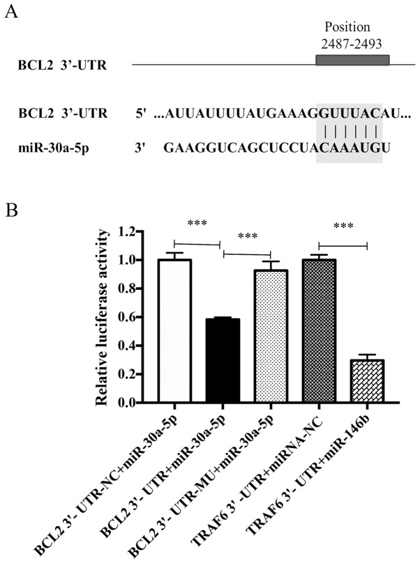 Figure 9.