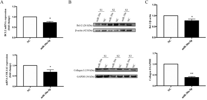 Figure 11.