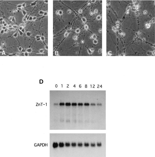 Fig. 5.