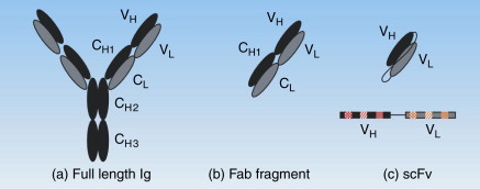 Figure 5.8