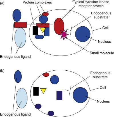 Figure 5.5