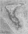 268