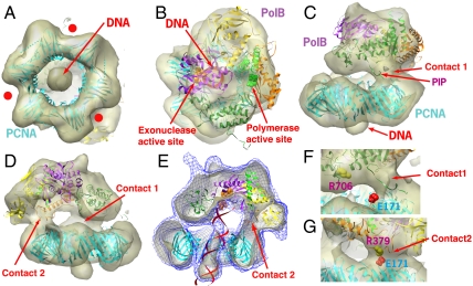 Fig. 2.