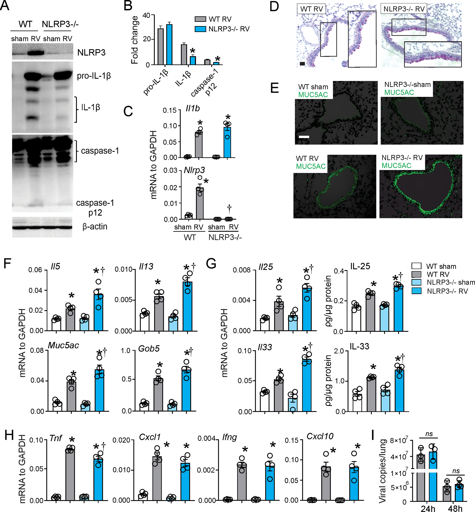 FIG 3.