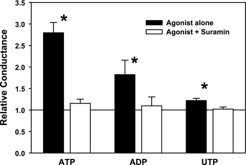 Fig. 4.