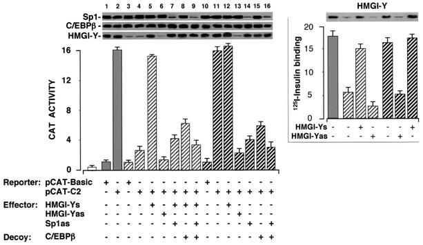 FIG. 8.