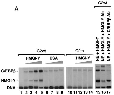 FIG. 5.