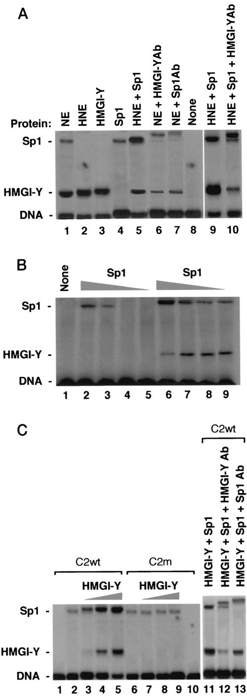 FIG. 2.