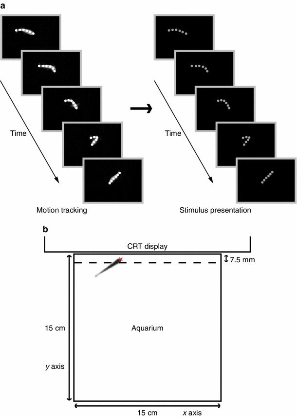 Fig. 1