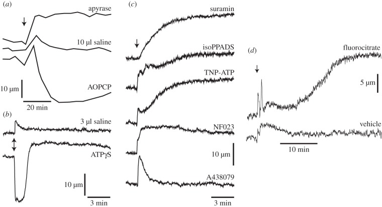 Figure 3.