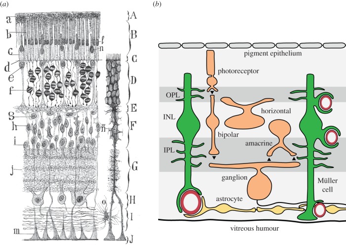 Figure 1.