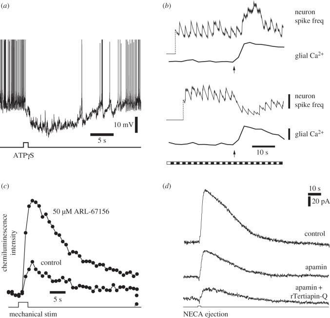 Figure 2.