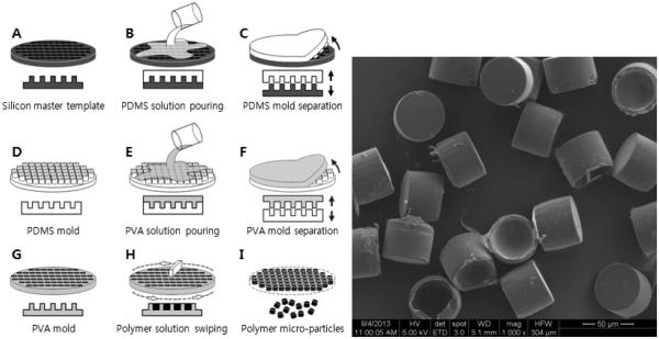 Figure 19