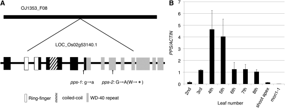 Figure 5.