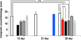 <b>Figure 4.</b>