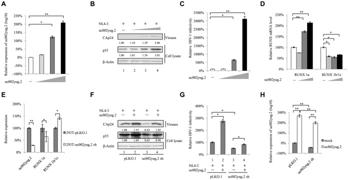 FIG 1