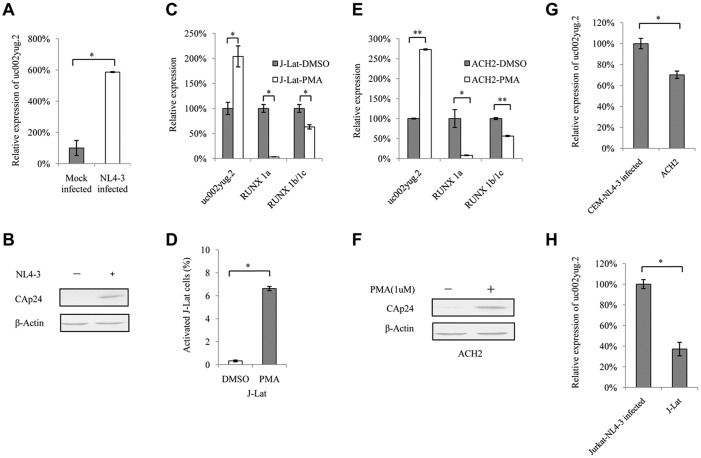 FIG 3