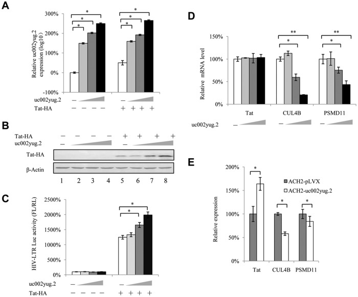 FIG 6