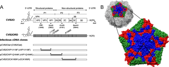 FIG. 1.