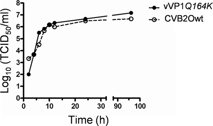 FIG. 5.