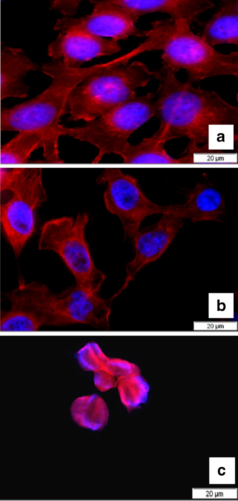 Fig. 8