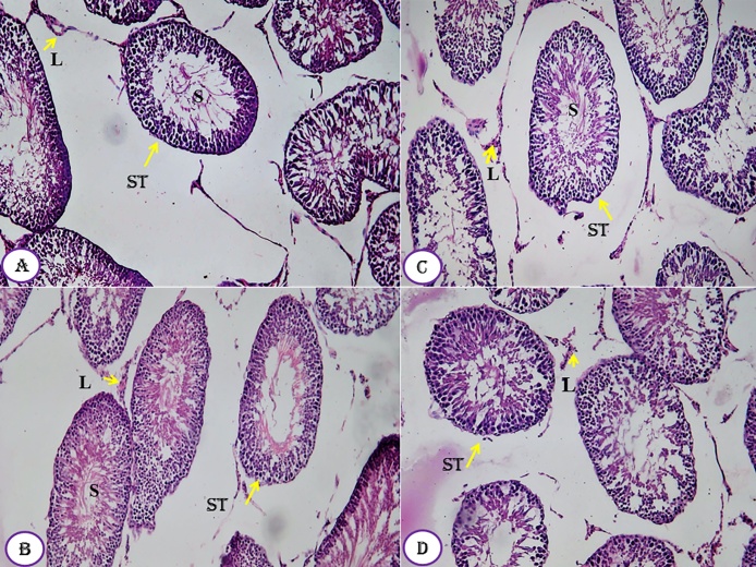 Fig. 8