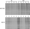 Fig. 5
