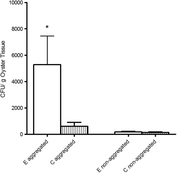 Fig 5