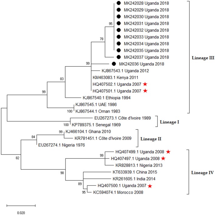 Figure 10