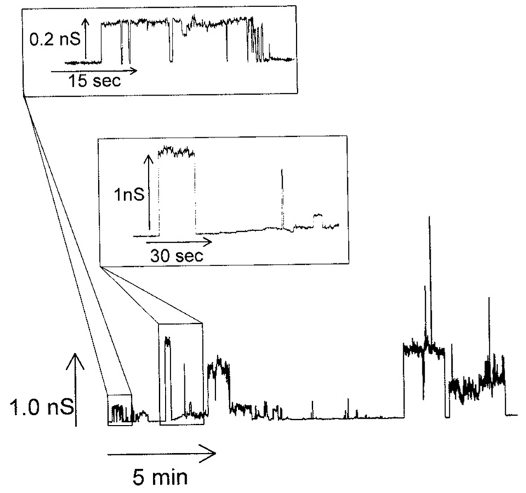 Fig. 1