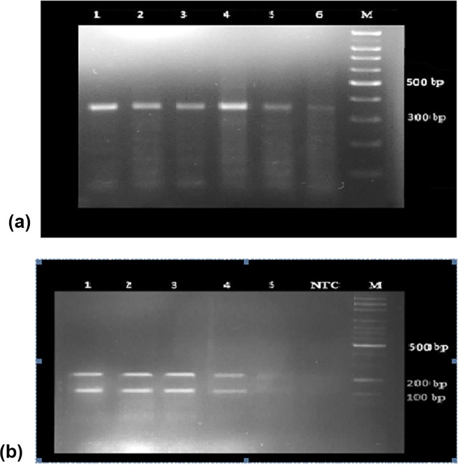 Fig 5